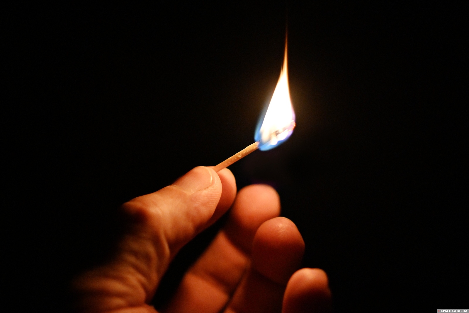 Поджог Иван Лазебный © ИА Красная Весна