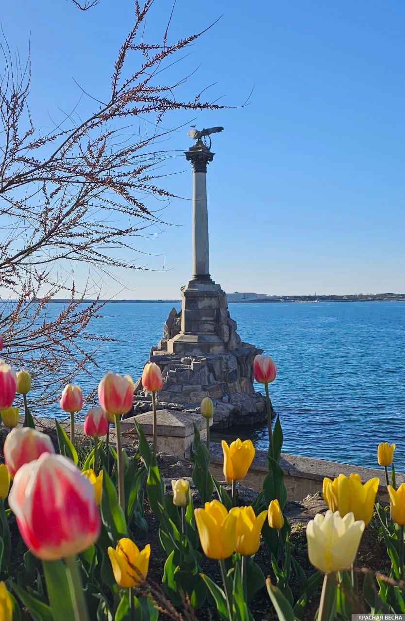 Тюльпаны. Севастополь. Памятник затопленным кораблям