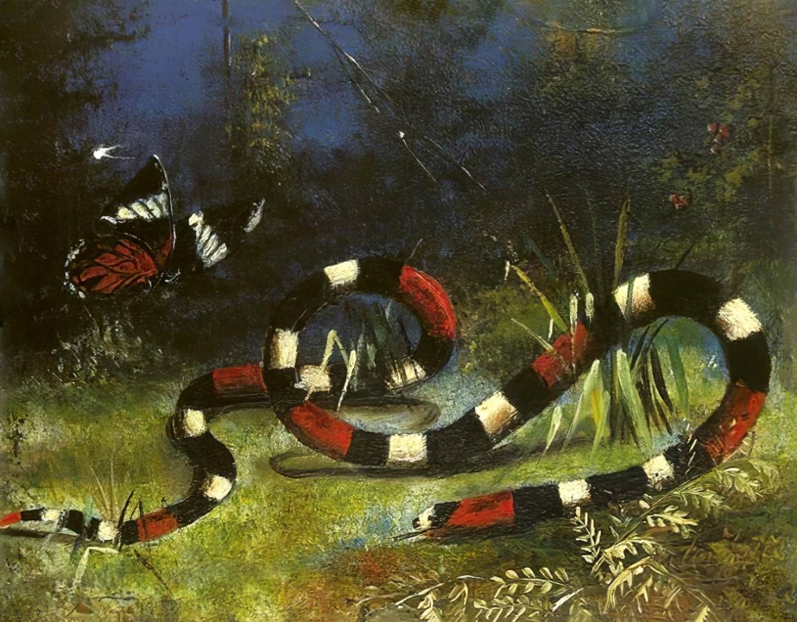 Джеронимо Хосе Теллес Джуниор. Змея и бабочка. XIX-начало XX в.