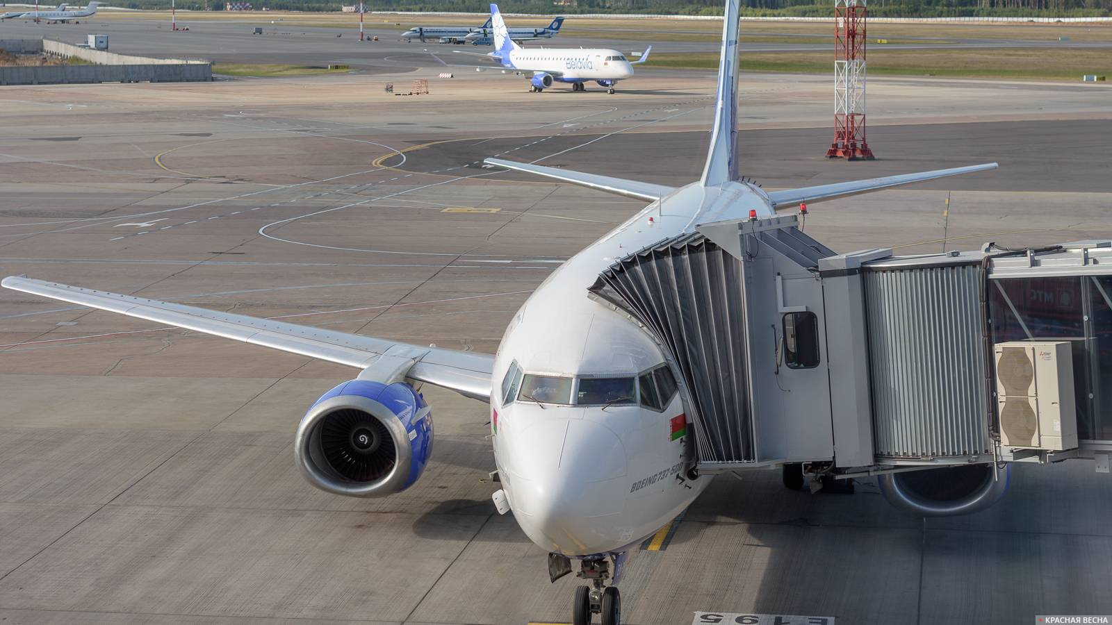 Boeing 737 авиакомпании Белавиа в аэропорту Минска