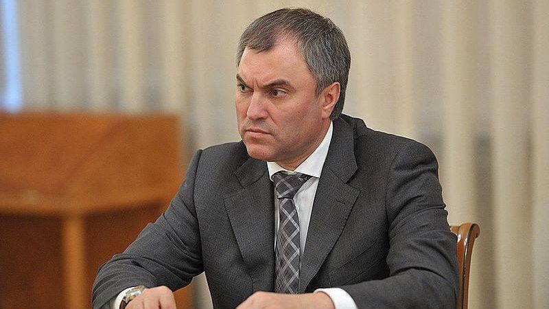 Председатель Госдумы РФ Вячеслав Володин