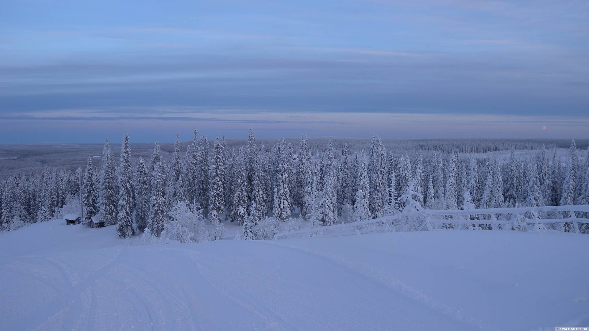 Зима. Центральная Финляндия. 2009