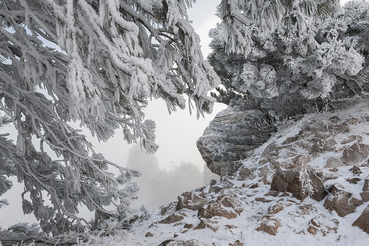 Снег в Крыму на горе Ай-Петри