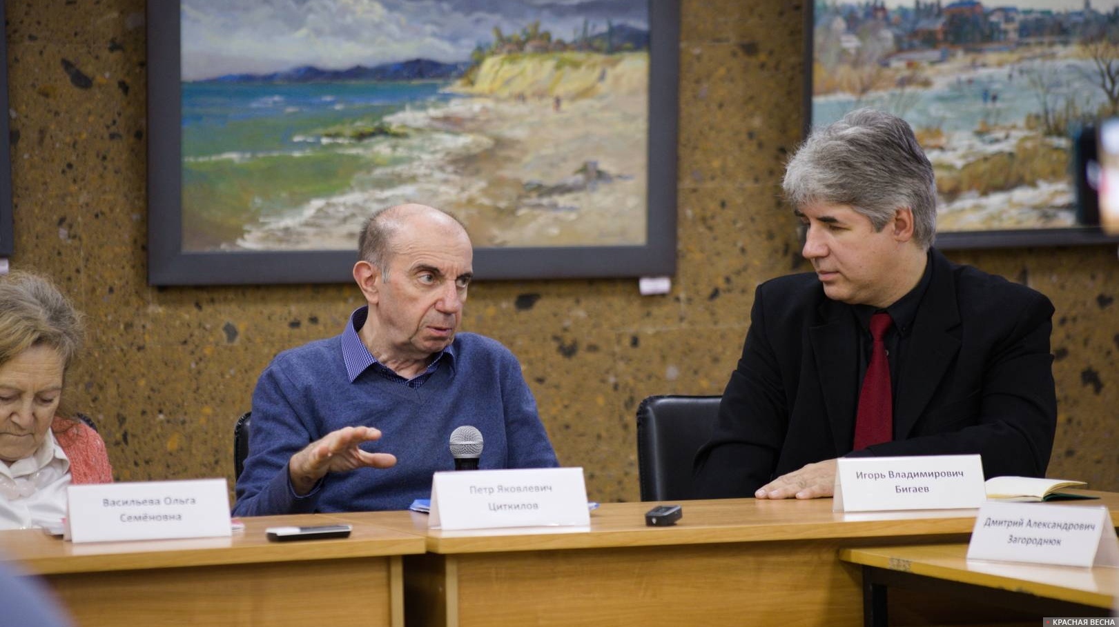 Пётр Циткилов. Круглый стол «Стратегия развития образования на 10 лет: решение проблем или „тихое“ продолжение разрушительного курса» в Ростове-на-Дону