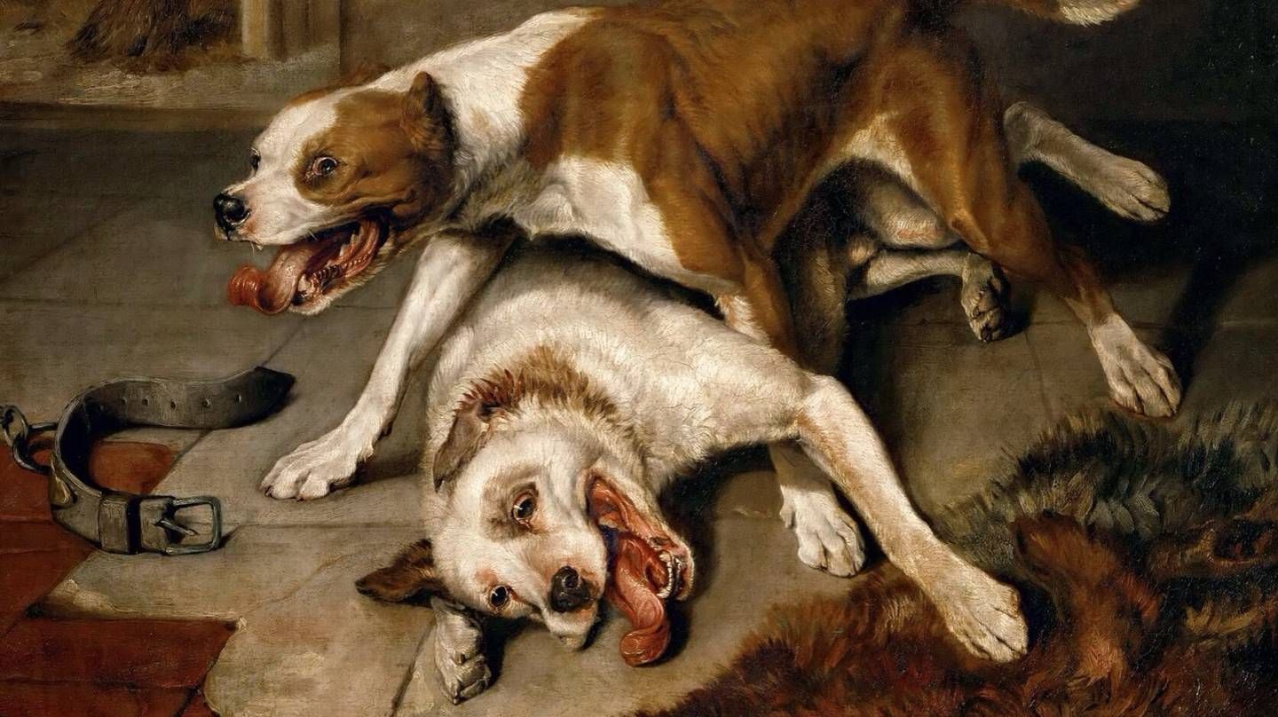 Эдвин Генри Ландсир. Бойцовские собаки. 1839 год