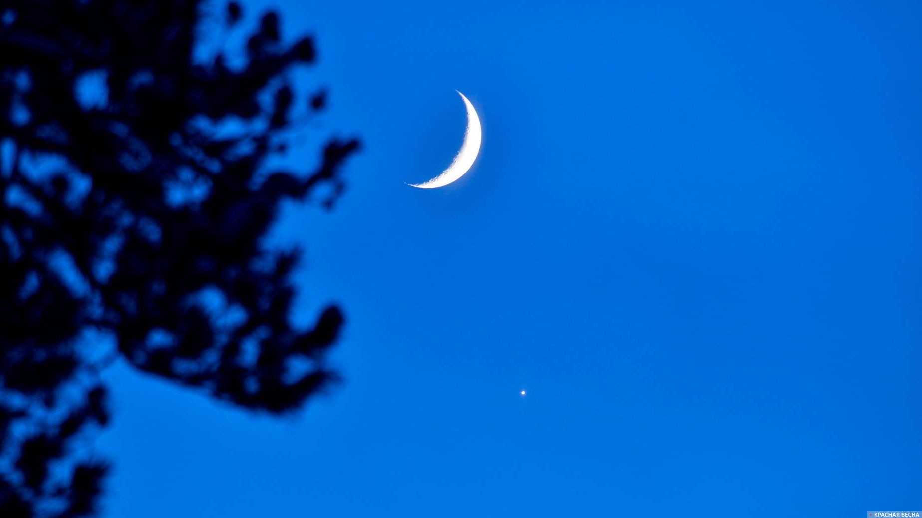 Луна и Венера.