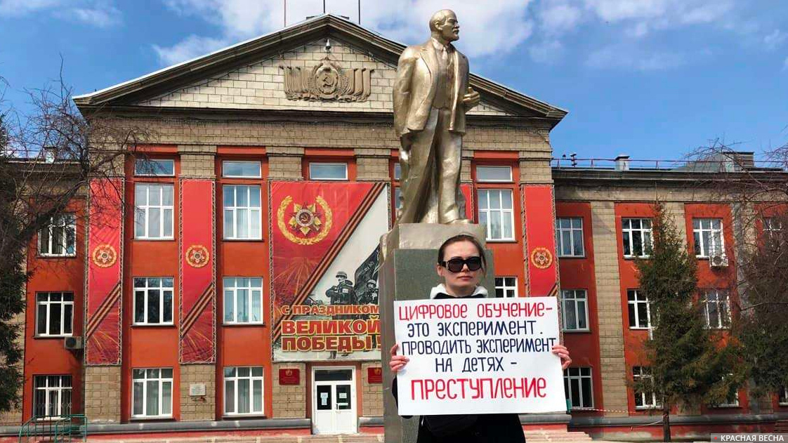 г. Новосибирск, Одиночный пикет против цифровизации образования