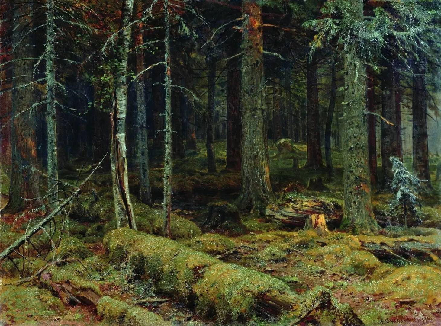 Иван Шишкин тёмный лес 1890