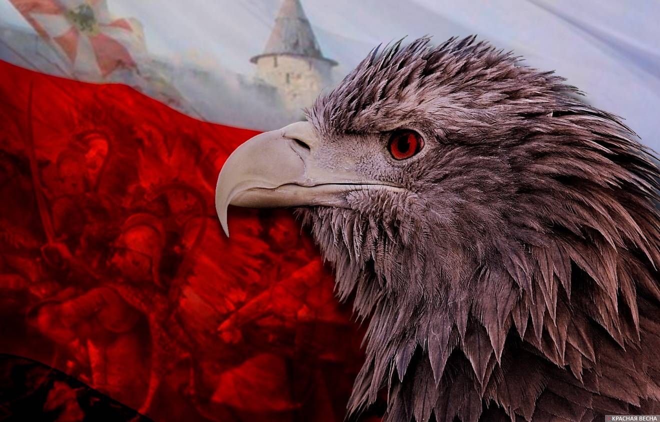 Польша смотрит