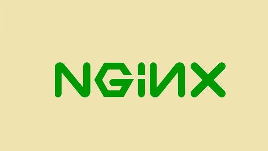 Логотип Nginx
