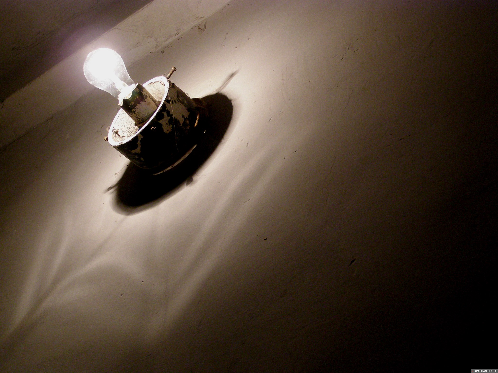 Лампочка на стене в подъезде [Рыжкова Анна © ИА Красная Весна]