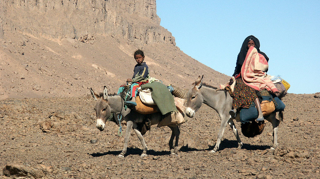 Семья туарегов