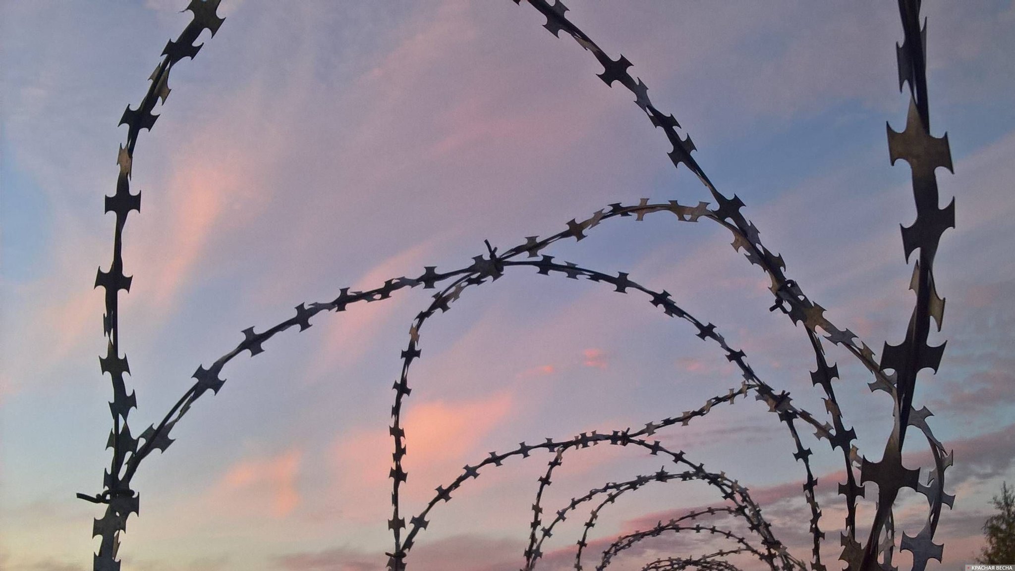 Колючая проволока по периметру