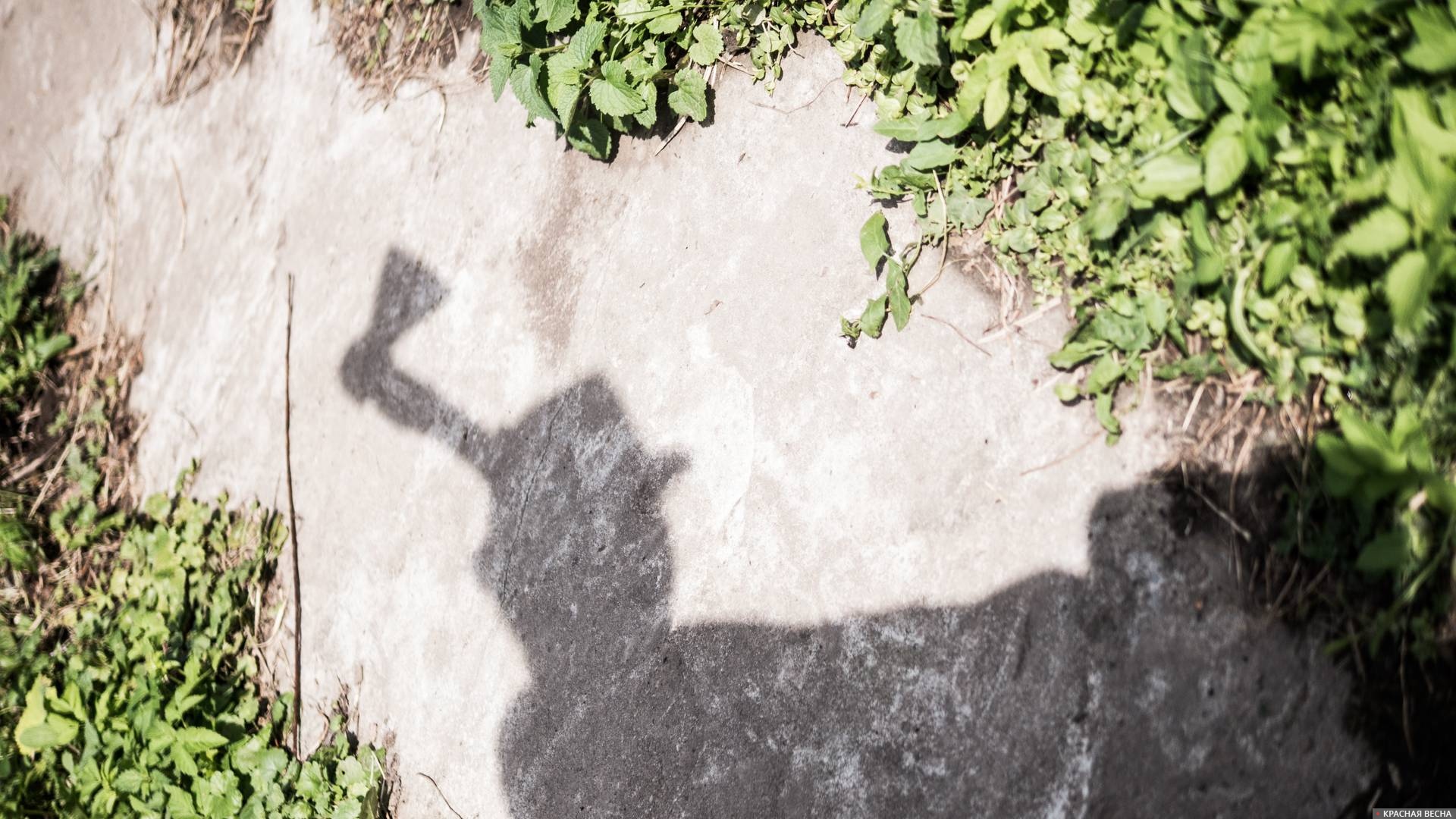 Тень опасности