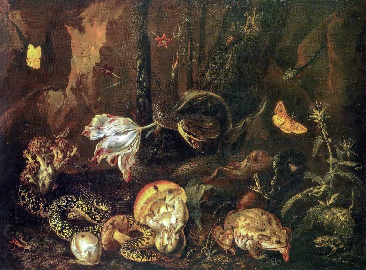 Отто Марсеус ван Скрик. Лесной натюрморт с насекомыми и гадами. 1662