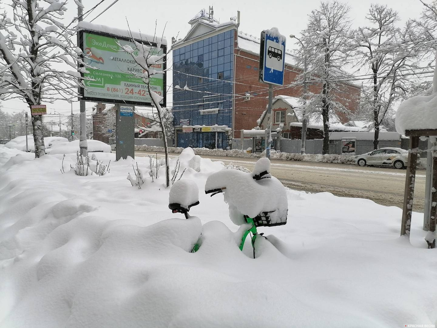 В Краснодаре снег