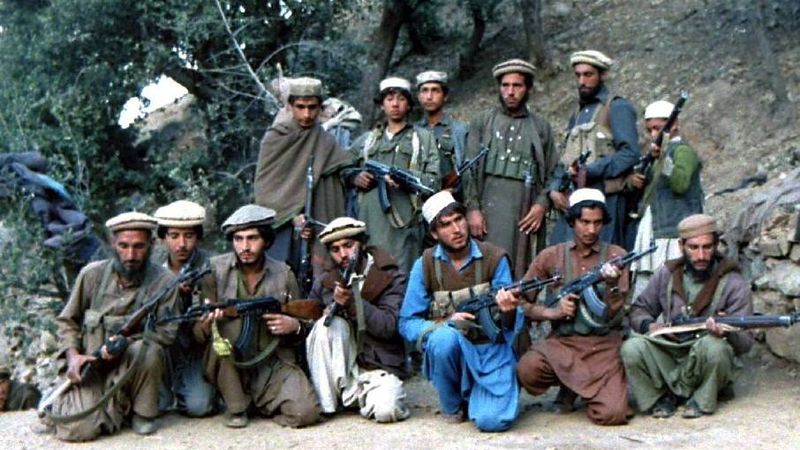 Исламисты в Афганистане, 1987 год