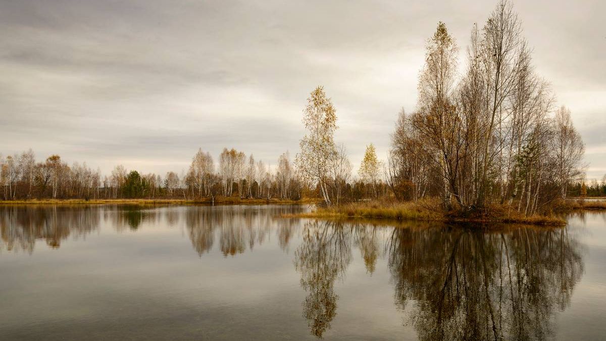 Природа рядом с городом Нижнеудинск. Иркутская область