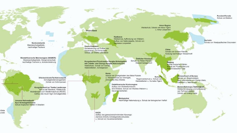 География деятельности WWF