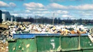 Свалка мусора в Звенигороде
