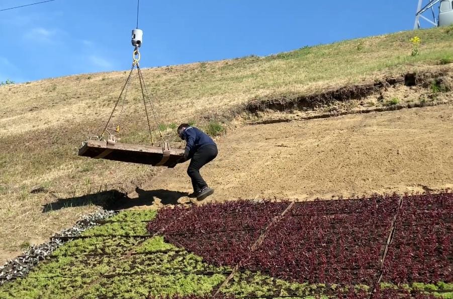 Цветочный герб Томска