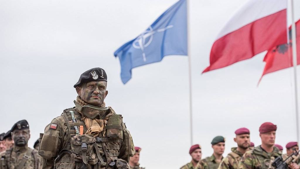 Солдаты Польши и НАТО