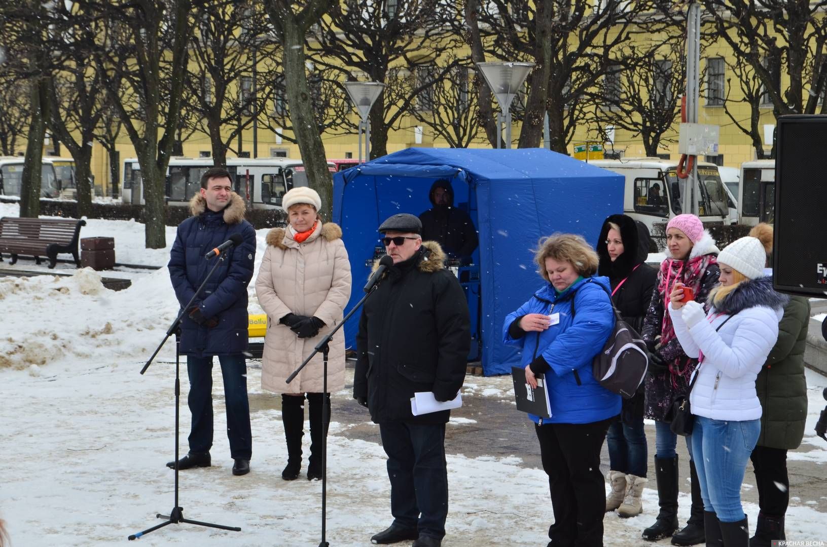 Митинг многодетных родителей в Санкт-Петербурге