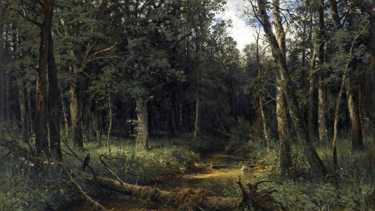 «Тёмный лес» 1876 