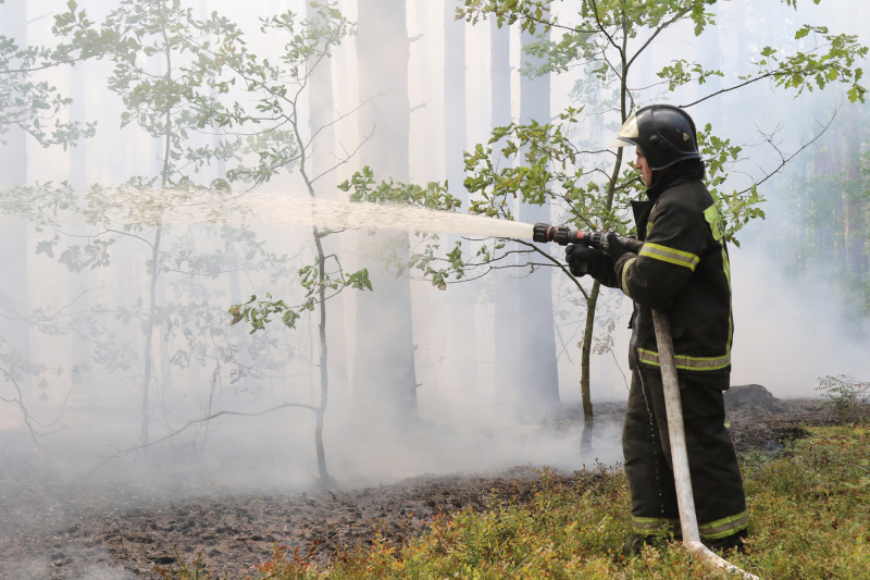 Борьба МЧС с пожарами в Рязанской области