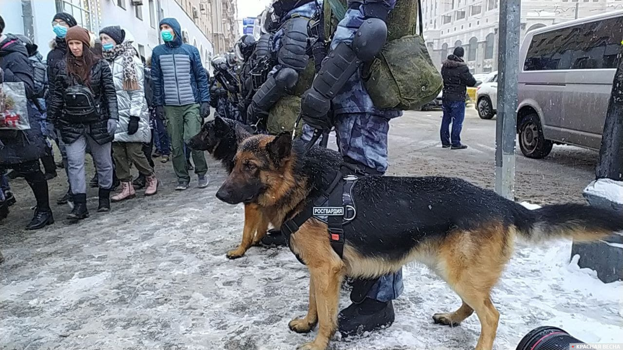 Незаконная акция протеста в Москве 31 января