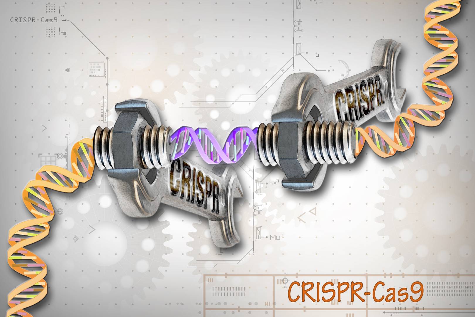 CRISPR-Cas9