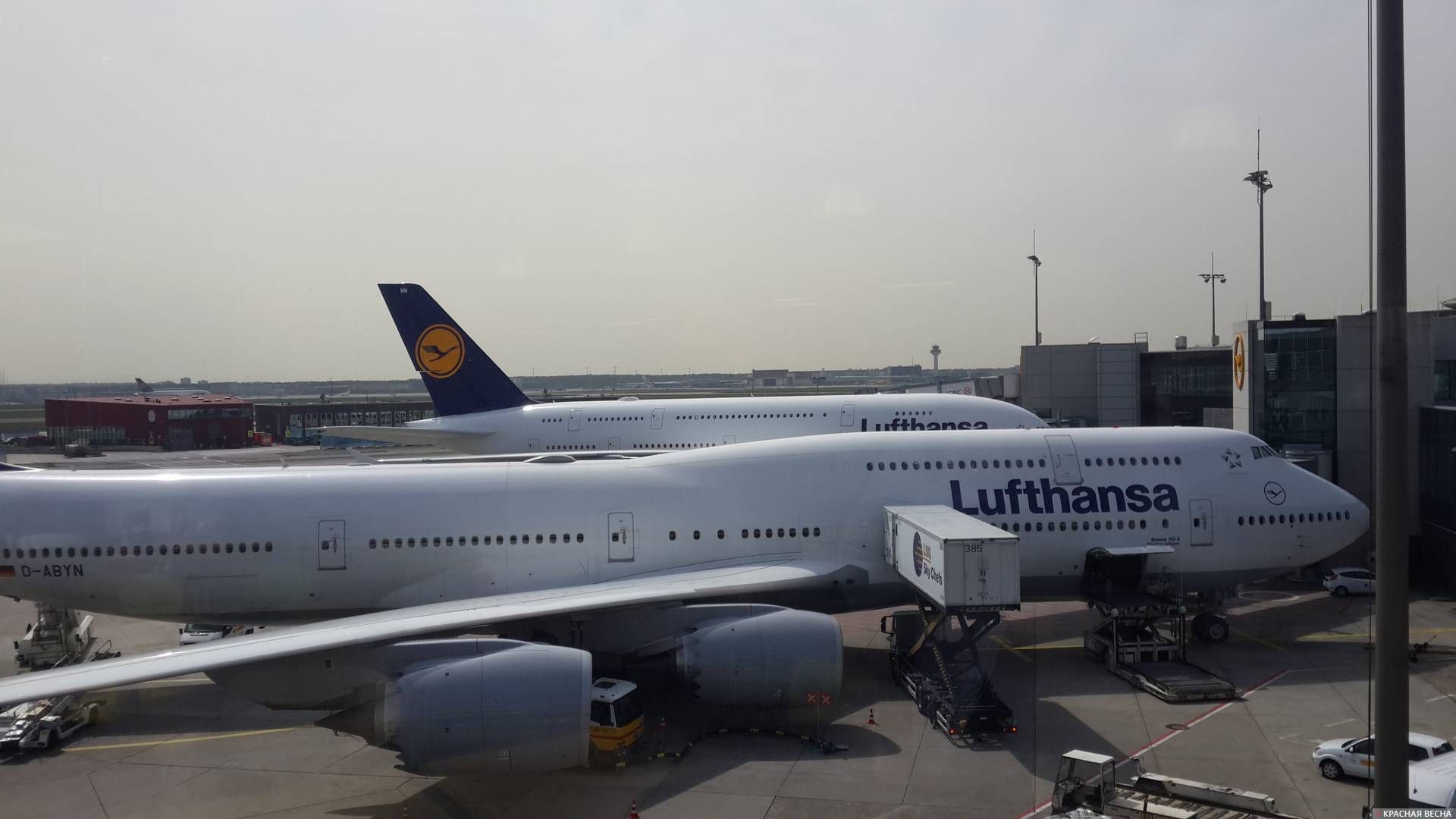 Авиалайнер Lufthansa. Аэропорт Франкфурт. Германия