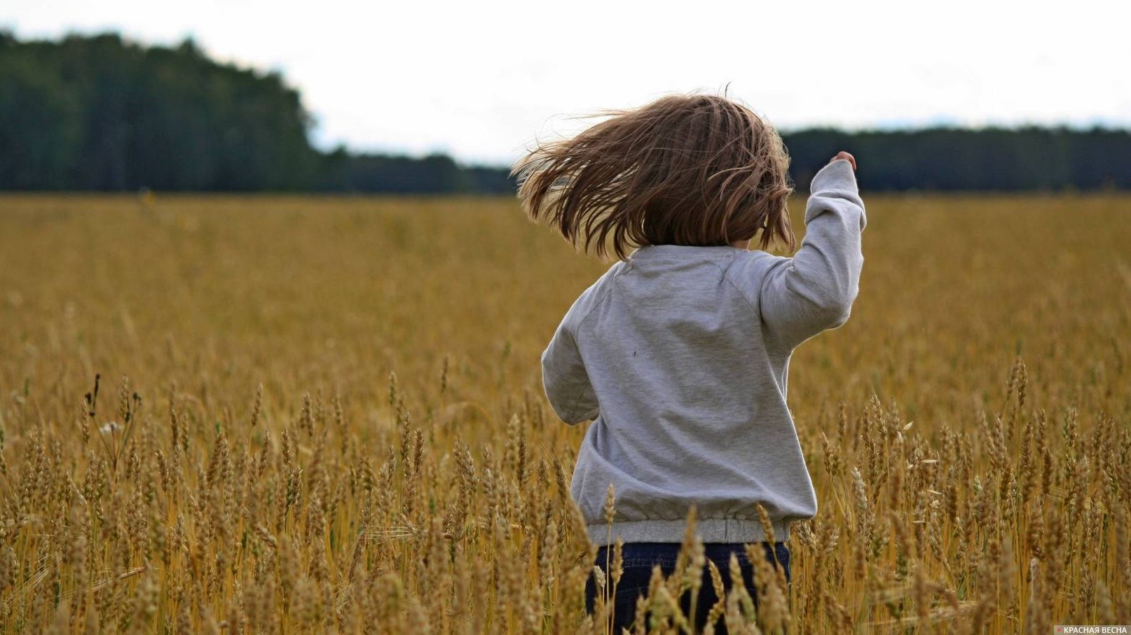 Девочка, бегушая в поле