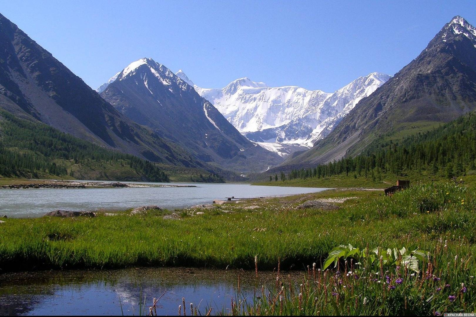 Республика алтай сибирь. Белуха горный Алтай. Алтайские горы Алтайский край. Гора Белуха. Бийск горы Алтая.