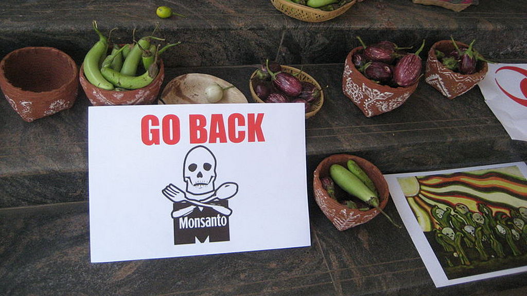 Акция протеста против деятельности компании Monsanto