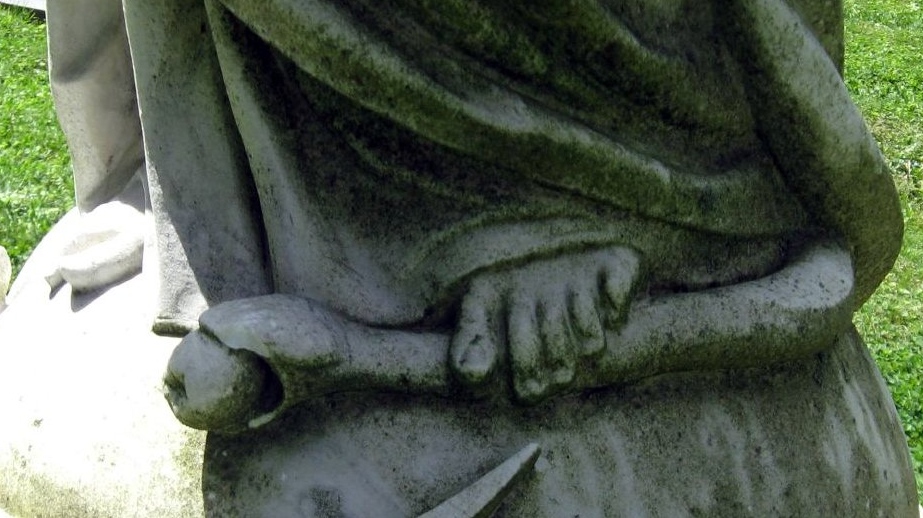 Раздавленная змея