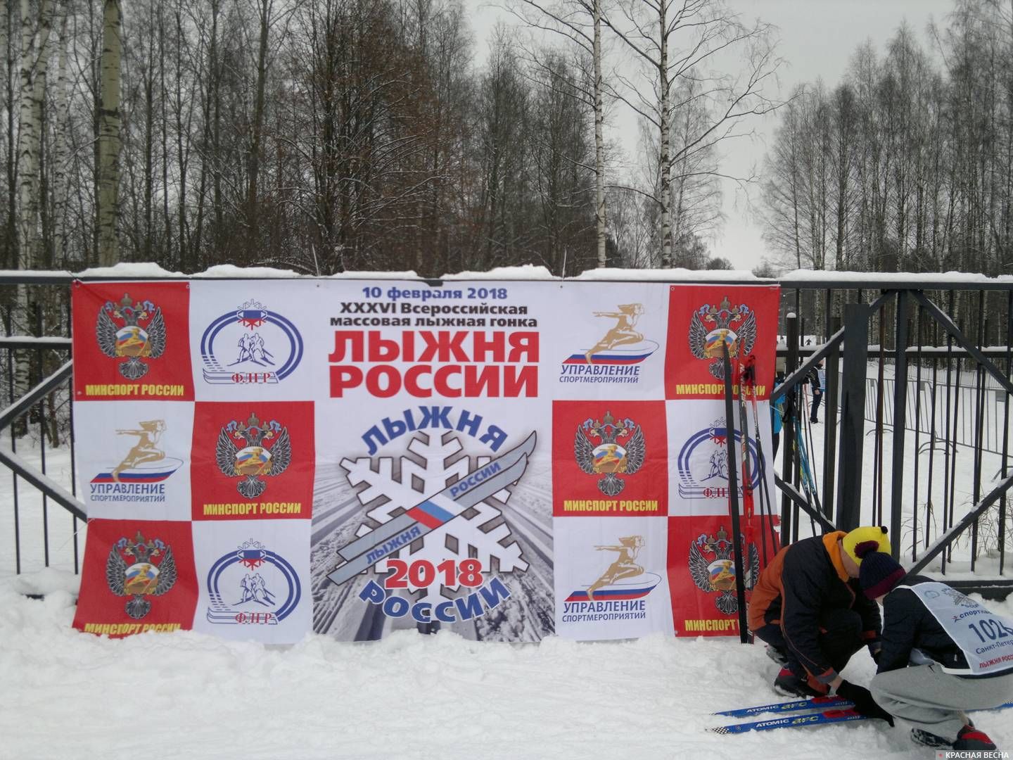 Банер «Лыжня России»