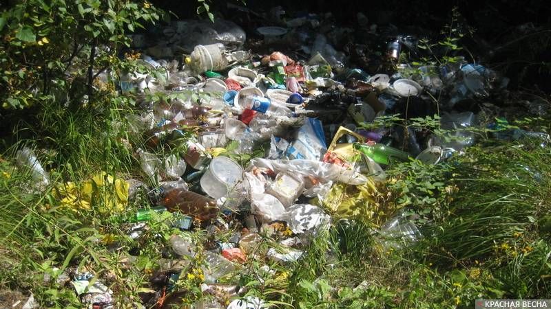 Незаконная свалка мусора в лесу