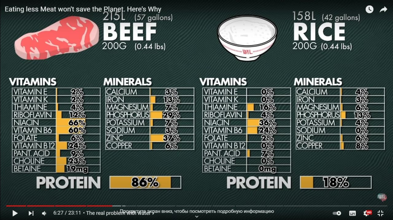  Сравнение содержания полезных веществ в говядине и рисе