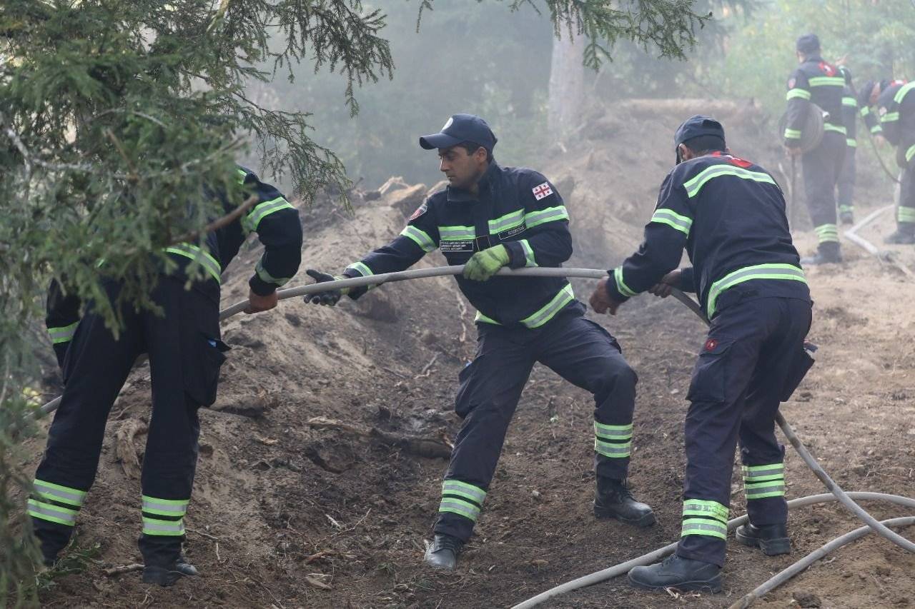 Тушение пожара в лесах Боржомского района края Самцхе-Джавахети Грузии