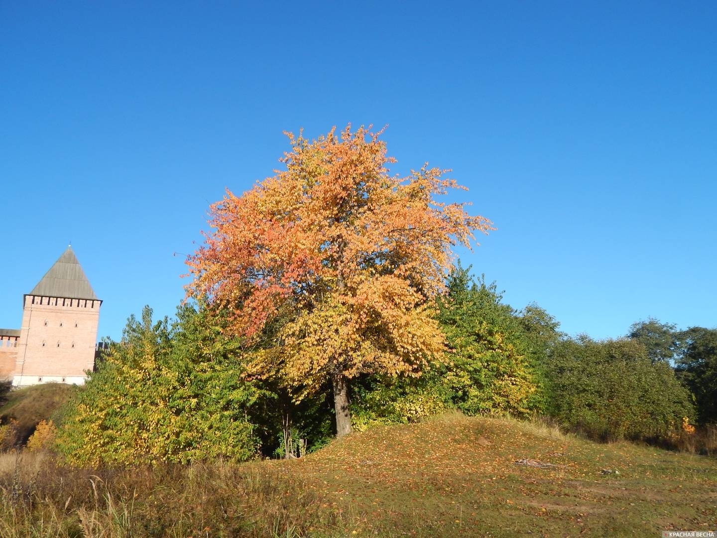 Осенние пейзажи. Возле смоленской крепостной стены. Заалтарная башня