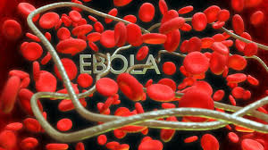 Ebola