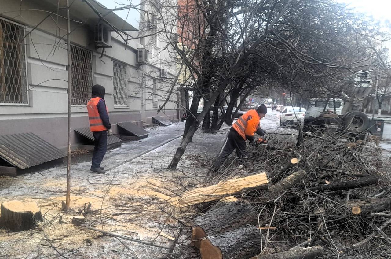 Уборка рухнувших деревьев в Ростове-на-Дону