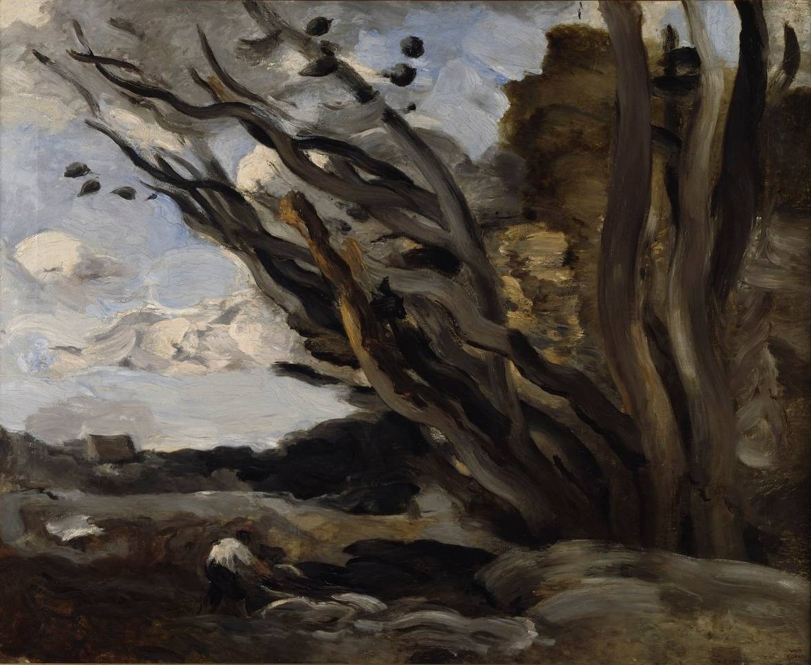 В Пермском исследовательском университете прогремел взрыв