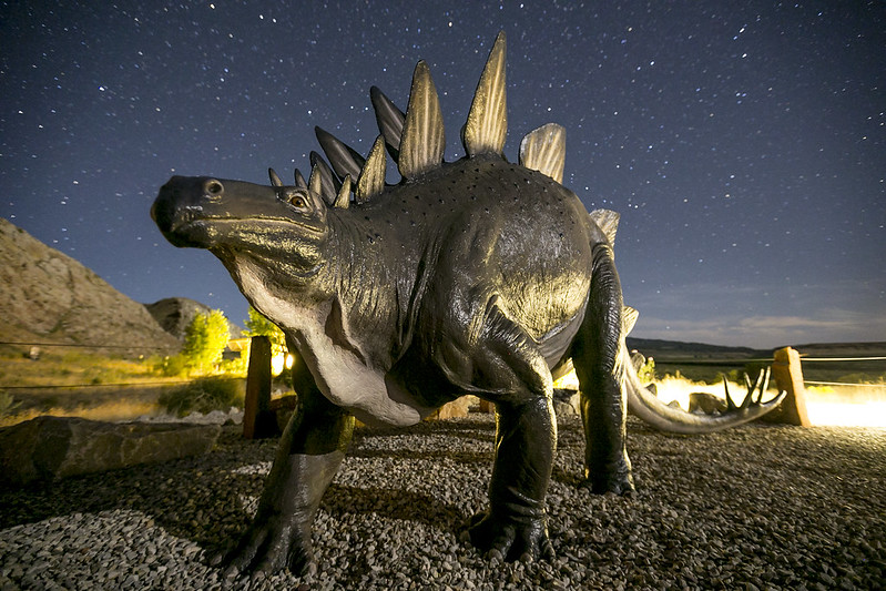 Стегозавр. Род травоядных динозавров. Существовавший 155 млн. лет назад