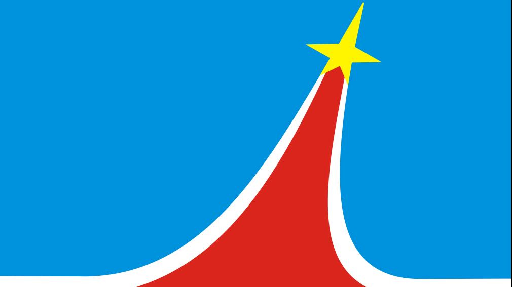 Люберцы (Московская область), флаг. Фото из открытых источников