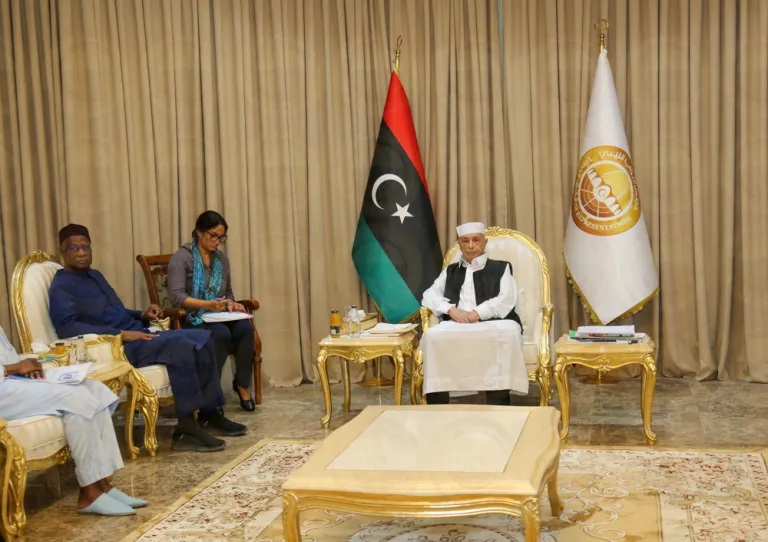 Спикер Палаты представителей Ливии Агила Салех и глава миссии ООН в Ливии Абдулай Батили