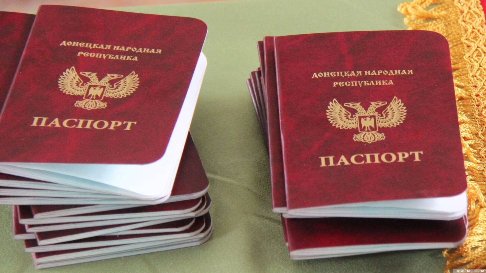 Паспорта ДНР