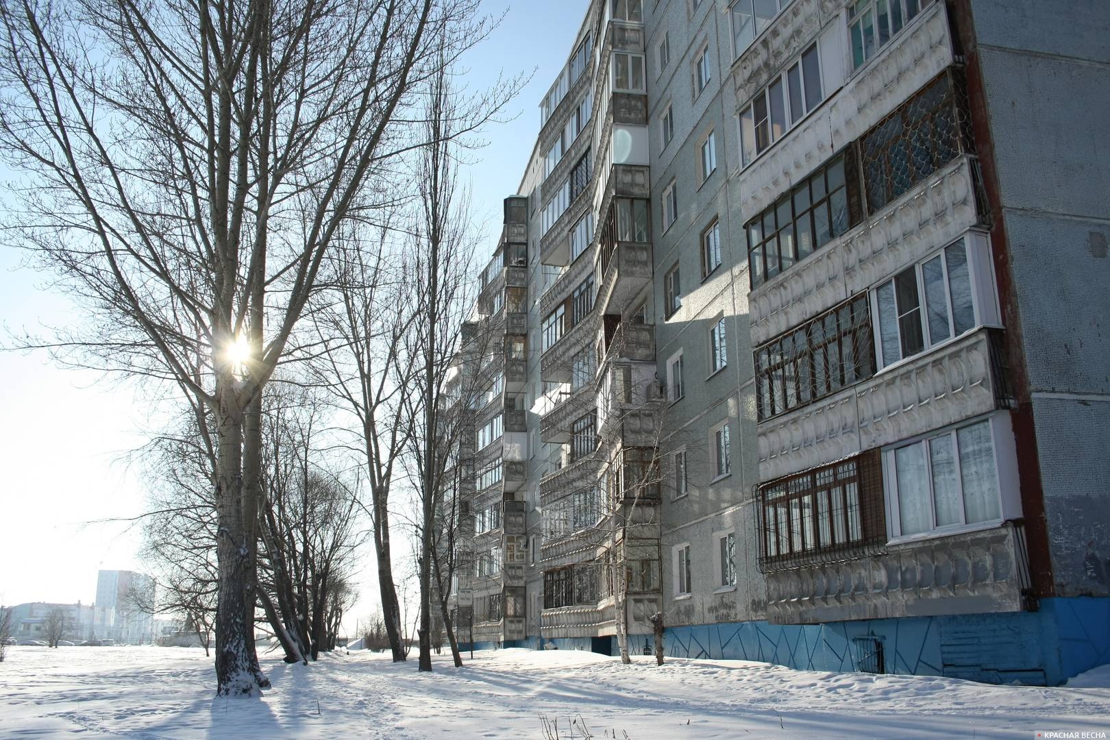 СК возбудил уголовное дело о халатности из-за обледеневших подъездов в Коми  | ИА Красная Весна