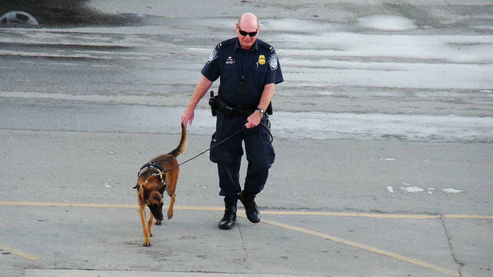 Полицейский и собака